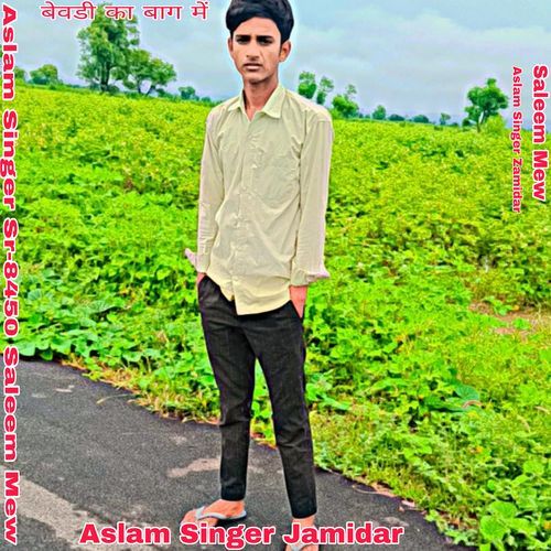 Aslam Singer Sr 8450 Saleem Mew Saleem Mew MP3 Download