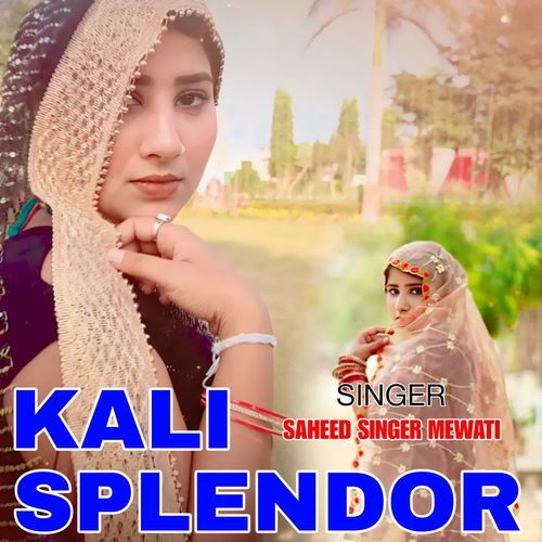 Kali Splendor Saheed Singer Mewati MP3 Download