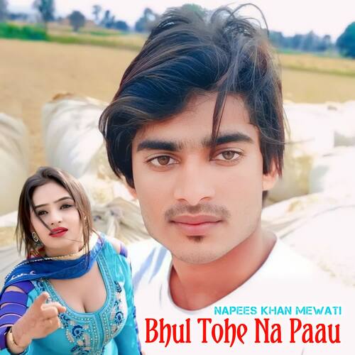 Bhul Tohe Na Paau Napees Khan Mewati MP3 Download
