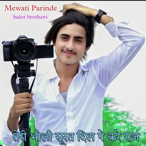 Teri bholi surt dil pe kre raj (Mewati song) Mewati Parinde MP3 Download