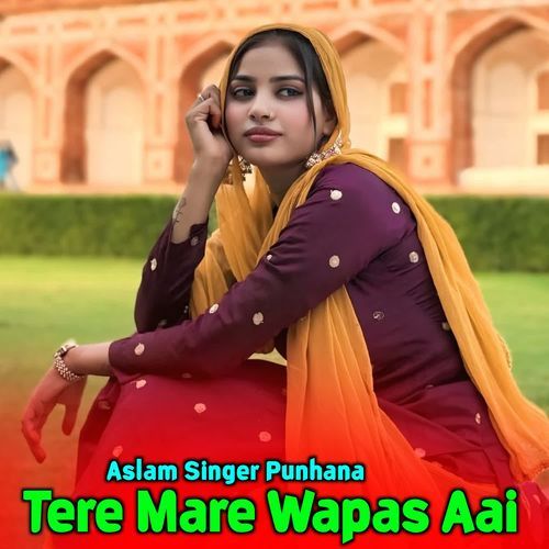 Tere Mare Wapas Aai Aslam Singer Punhana MP3 Download