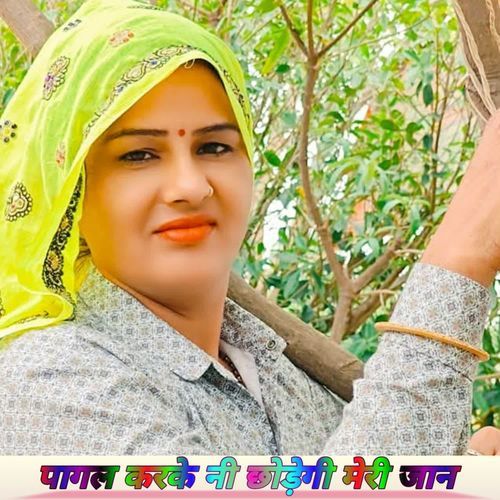 पागल करके नी छोड़ेगी मेरी जान Ansar alwar MP3 Download