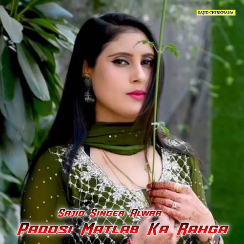 Padosi Matlab Ka Rahga Sajid Singer Alwar MP3 Download
