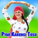 Pyar Karungi Tosu Album Download