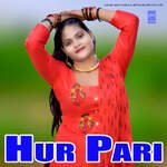 Hur Pari Album Download