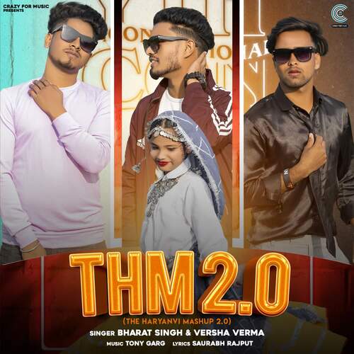 THM 2.0 (The Haryanvi Mashup 2.0) Versha Verma MP3 Download