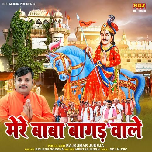Mere Baba Baagad Wale Brijesh Sorkha MP3 Download