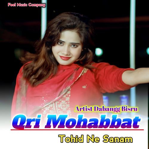 Qri Mohabbat Sohid Ne Sanam Dabangg Bisru MP3 Download