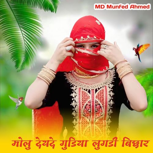 Molu Deede Gudiya Lugdi Bichar Munfed Ahmed MP3 Download