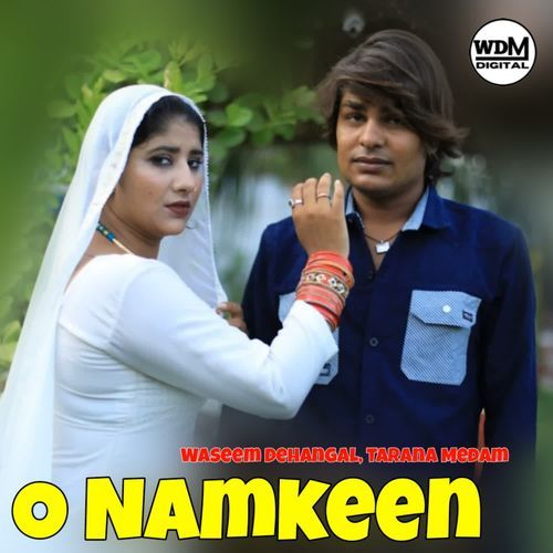 O Namkeen Tarana Medam MP3 Download
