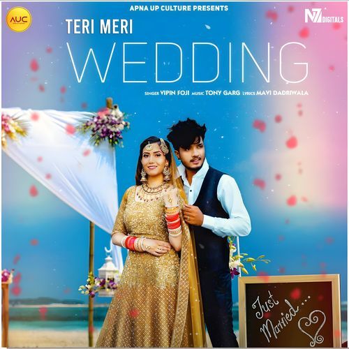 Teri Meri Wedding Vipin Foji MP3 Download