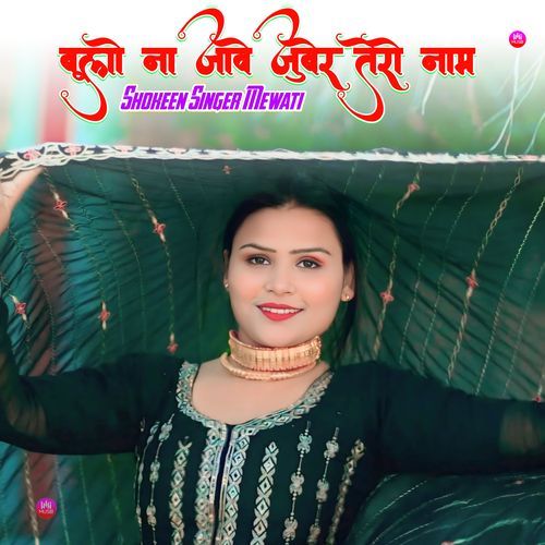 बूलो ना जावे जुबेर तेरो नाम Shokeen Singer Mewati MP3 Download