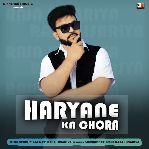 Haryane Ka Chora Serdhe aala MP3 Download