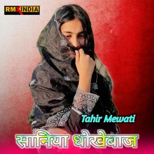 Sanaya Dhokabaj Tahir Mewati MP3 Download