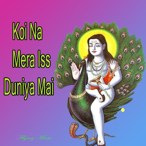 Koi Na Mera Iss Duniya Mai Flying Music MP3 Download