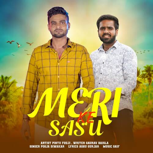 Meri Sasu Ke Pooja Diwakar MP3 Download