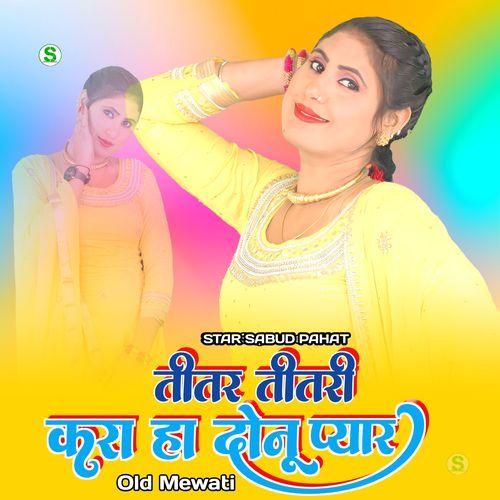 तीतर तीतरी करा हा दोनू प्यार ओल्ड मेवाती Star Sabud Pahat MP3 Download