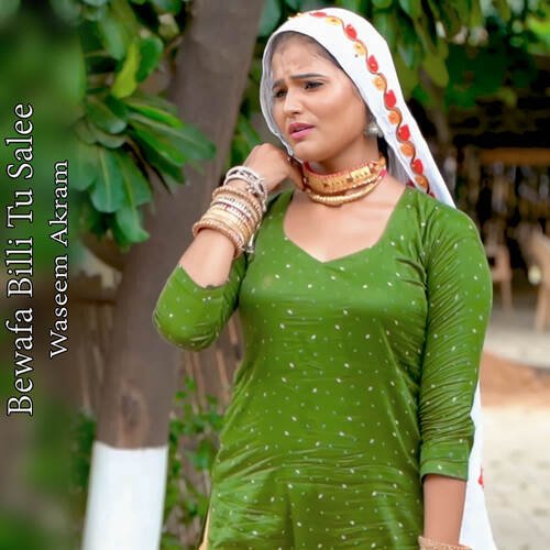 Bewafa Billi Tu Salee Waseem Akram MP3 Download
