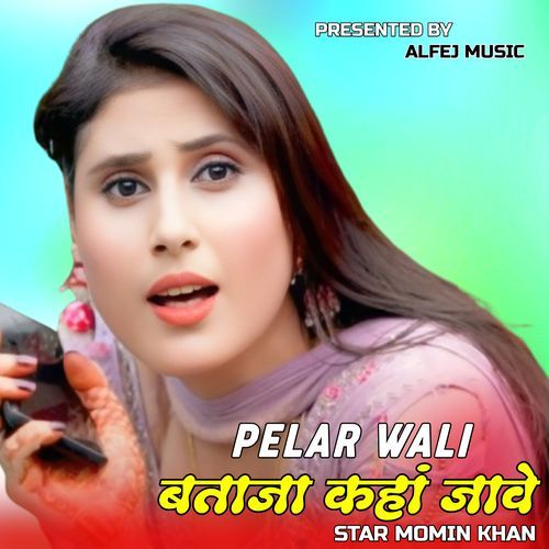 PELAR WALI BATAJA KAHA JAVE Sahil Khan Mewati MP3 Download