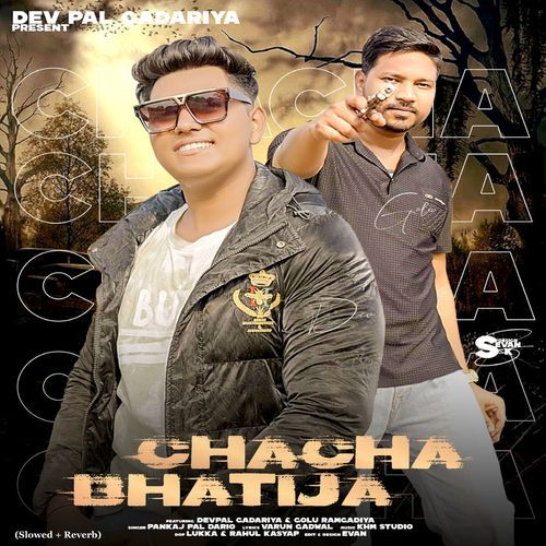Chacha Bhatija (Feat. Pankaj Pal Dario, Golu Ramgadiya) (Slowed + Reverb) Dev Pal Gadariya MP3 Download