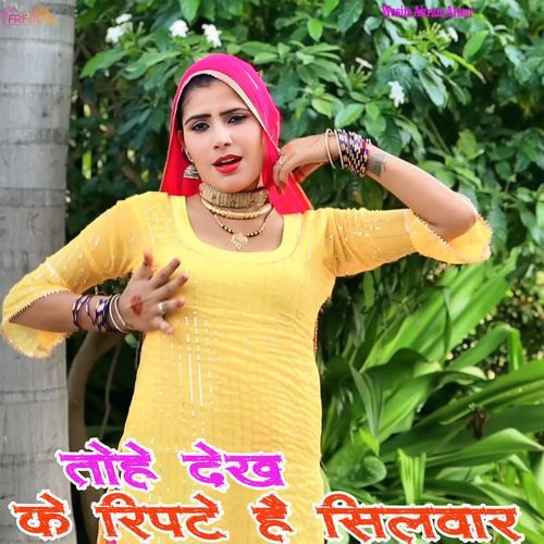 तोहे देख के रिपटे है सिलवार Aashik Mewati MP3 Download