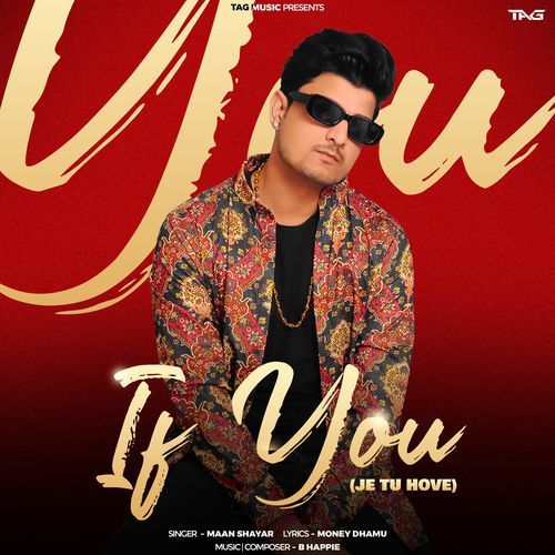 If You (Je Tu Hove) Shayar Maan MP3 Download