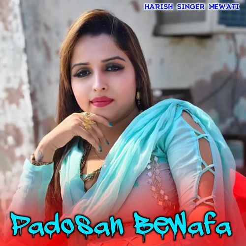 Padosan Bewafa HARISH SINGER MEWATI MP3 Download