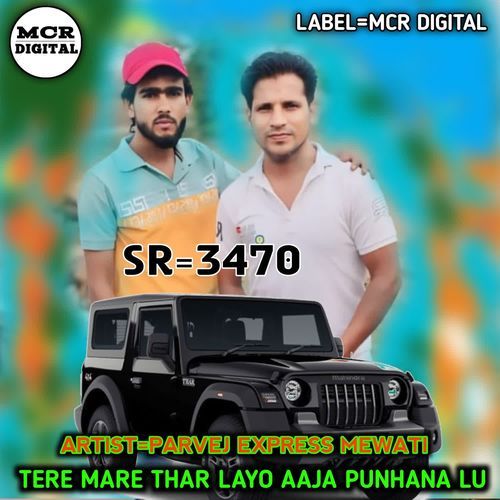 TERE MARE THAR LAYO AAJA PUNHANA LU Parvej Express Mewati MP3 Download