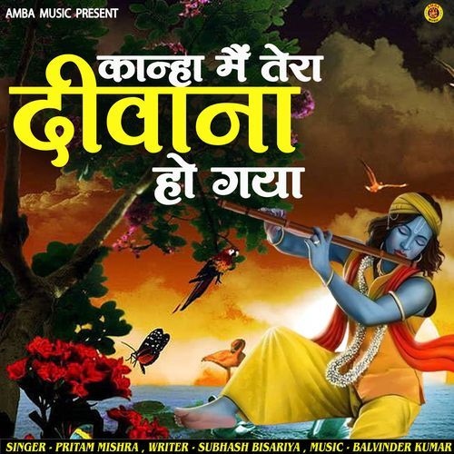 kanha m tera deewana ho gaya Pritam Mishra MP3 Download