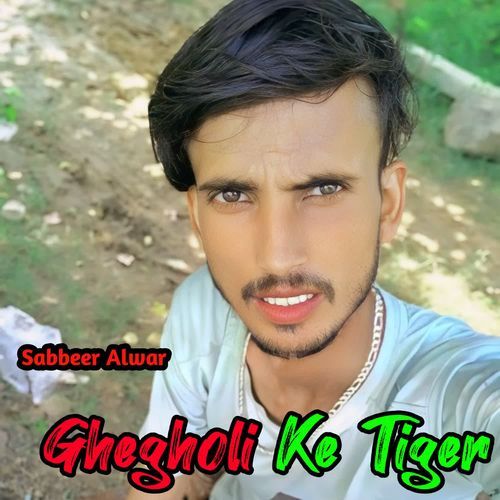 Ghegholi Ke Tiger Sabbeer Alwar MP3 Download