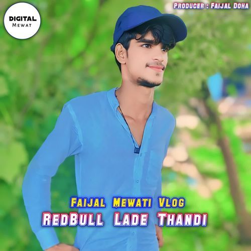 RedBull Lade Thandi FAIJAL MEWATI VLOG MP3 Download