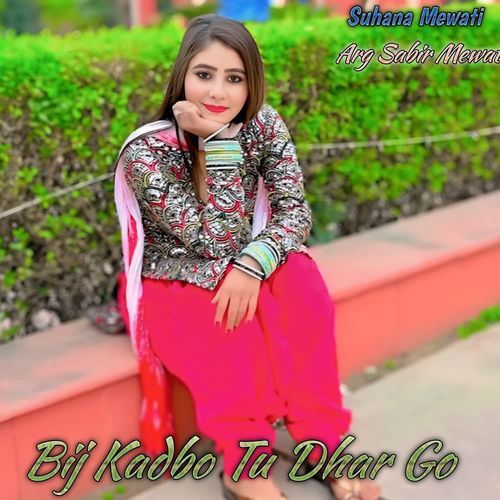 Bij Kadbo Tu Dhar Go Suhana Mewati MP3 Download
