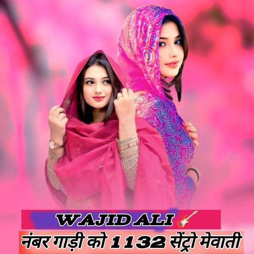 Number Gadi Ko 1132 Sentro Mewati Wajid Ali MP3 Download