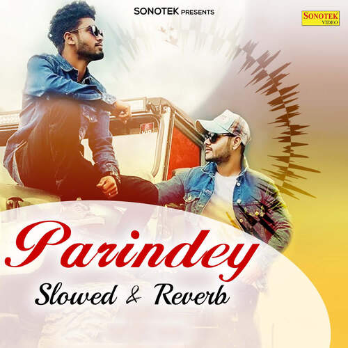 Parindey Slowed & Reverb Sumit Goswami MP3 Download