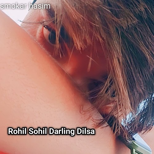 Rohil Sohil Darling Dilsa (Mewati) Kaka Mewati MP3 Download