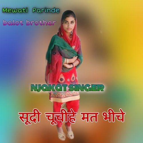 Sudi chuchi he mat bheeche (Mewati song) Mewati Parinde MP3 Download
