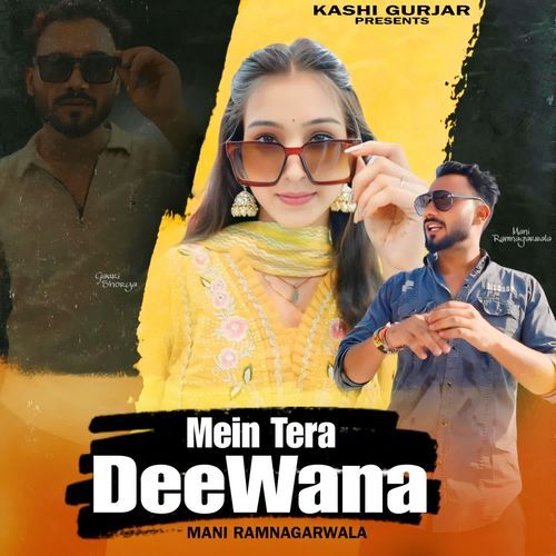Mein Tera Deewana Mani Ramnagarwala MP3 Download