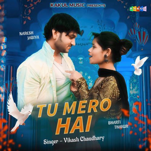 Main Tero Hu Vikash Chaudhary MP3 Download