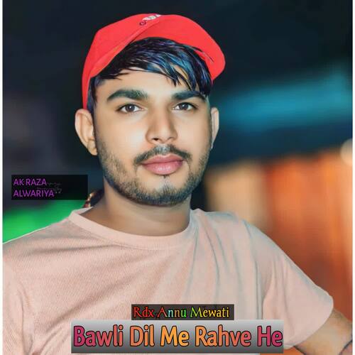 Bawli Dil Me Rahve He Rdx Annu Mewati MP3 Download