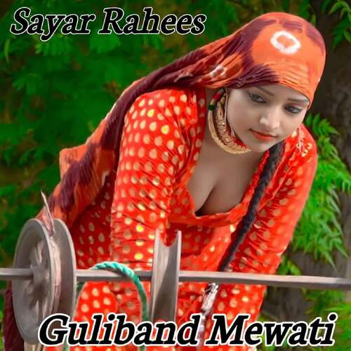Guliband Mewati Sayar Rahees MP3 Download