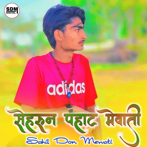 Sahrun Pahat Mewati SAHIL DON MEWATI MP3 Download