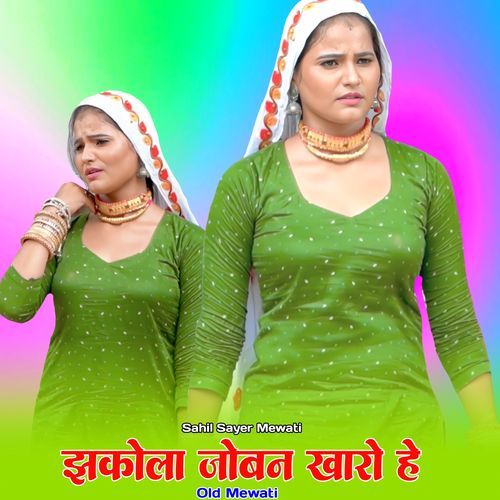 झकोला जोबन खारो हे Sahil Sayer Mewati MP3 Download