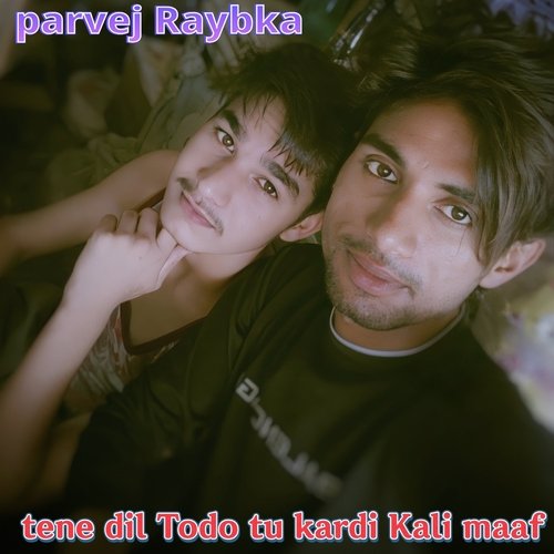 Tene Dil Todo tu krdi Kali maaf Parvej Raybka MP3 Download
