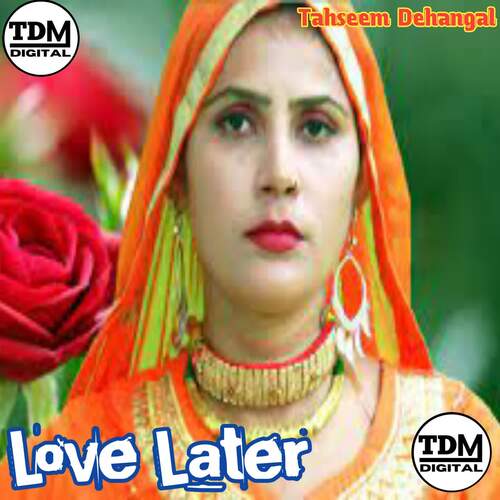 Love Later TDM DIGITAL MP3 Download