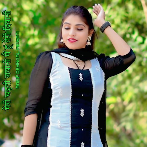 मेरी चढ़ती जवानी मैं हूं तेरी दिवानी Aasif Dehngal Mewati MP3 Download