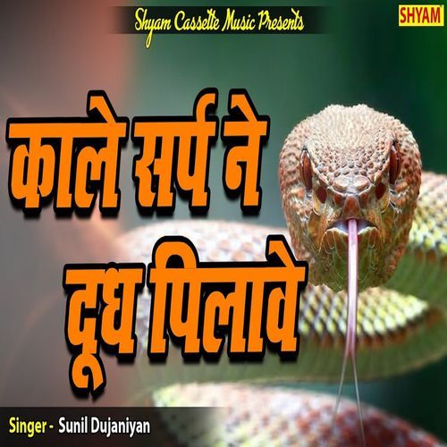 Kale Sarap Ne Doodh Pilave Sunil Dujaniyan MP3 Download