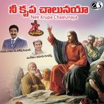 Srinu Songs MP3 Download