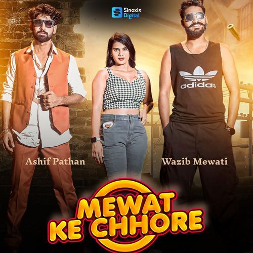 Mewat Ke Chhore Wazib Mewati MP3 Download