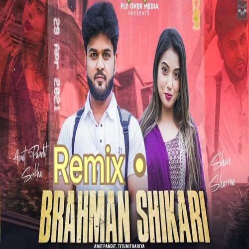 Brahman Shikari Remix Titu Nithariya MP3 Download
