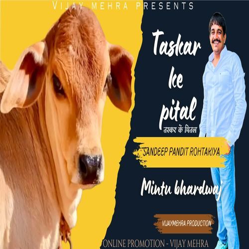 Taskar Ke Pital sandeep pandit rohtakiya MP3 Download